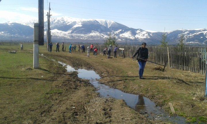 акция "Чистый двор-Залог успеха"